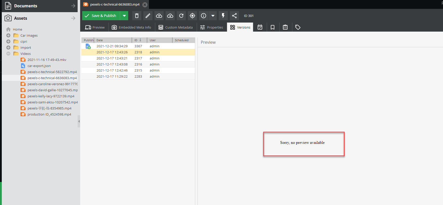 [Improvement][DAM] Video: No versioning preview possible · Issue #11075 ...