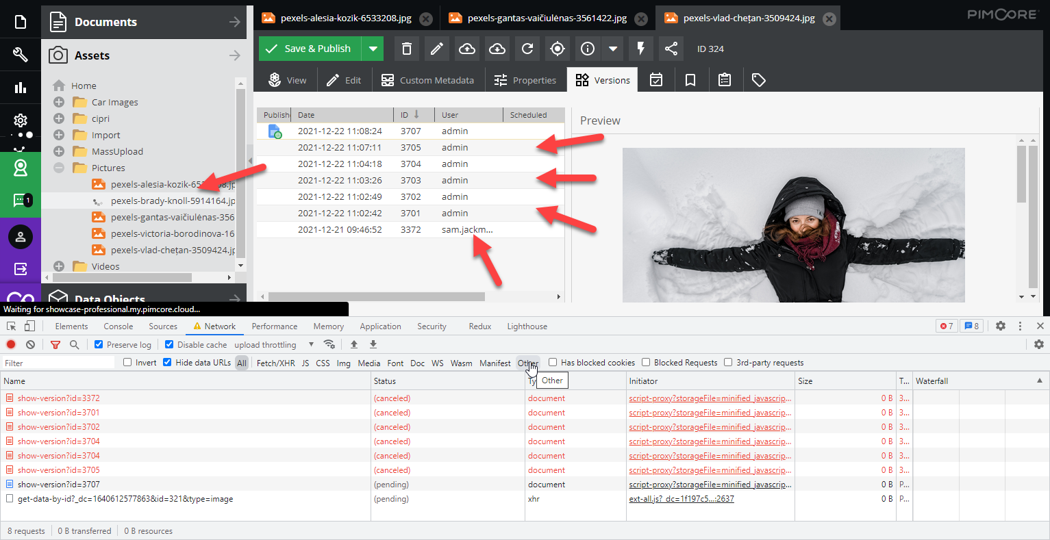 [Bug][Assets] Open version preview is blocking other requests · Issue ...