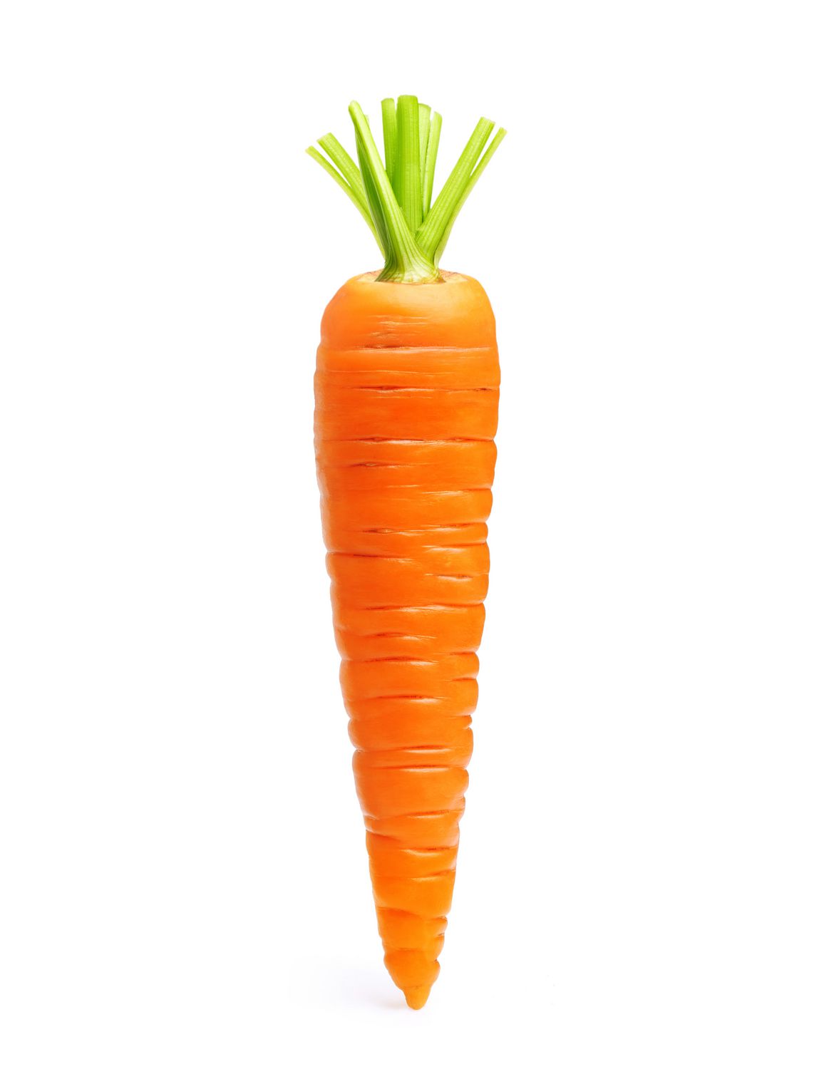 Carrot
