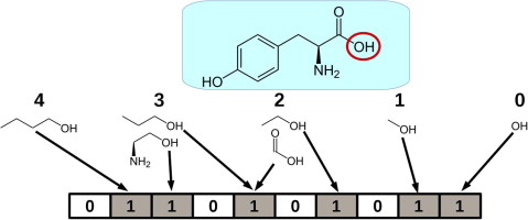 molecular fingerprint