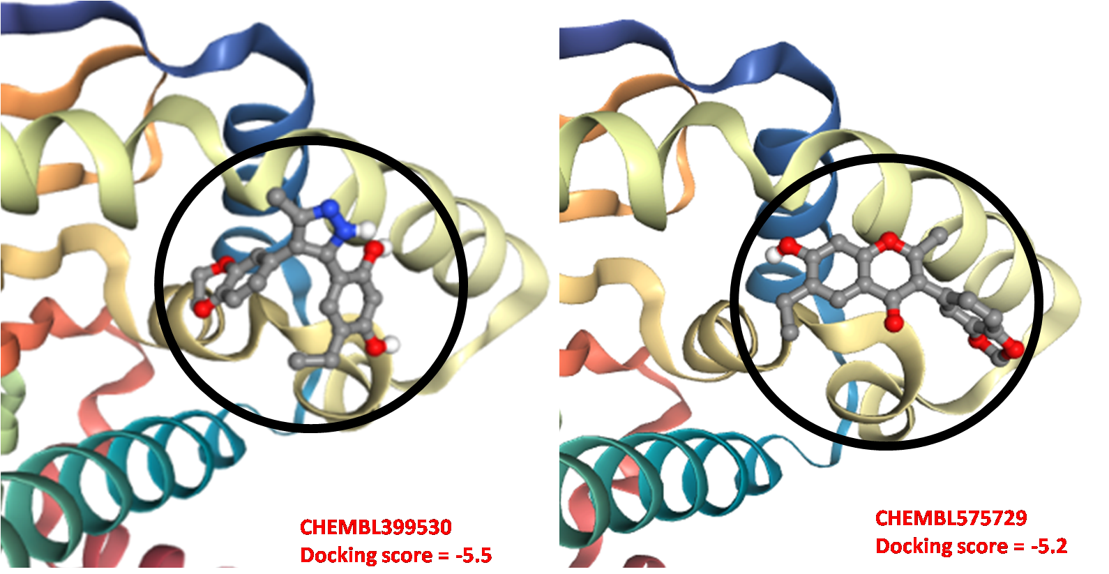 docked ligands