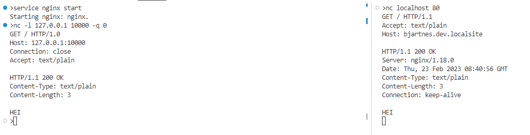 http-workshop/assignments/part_5_proxies/proxies.md at main · bjartnes ...