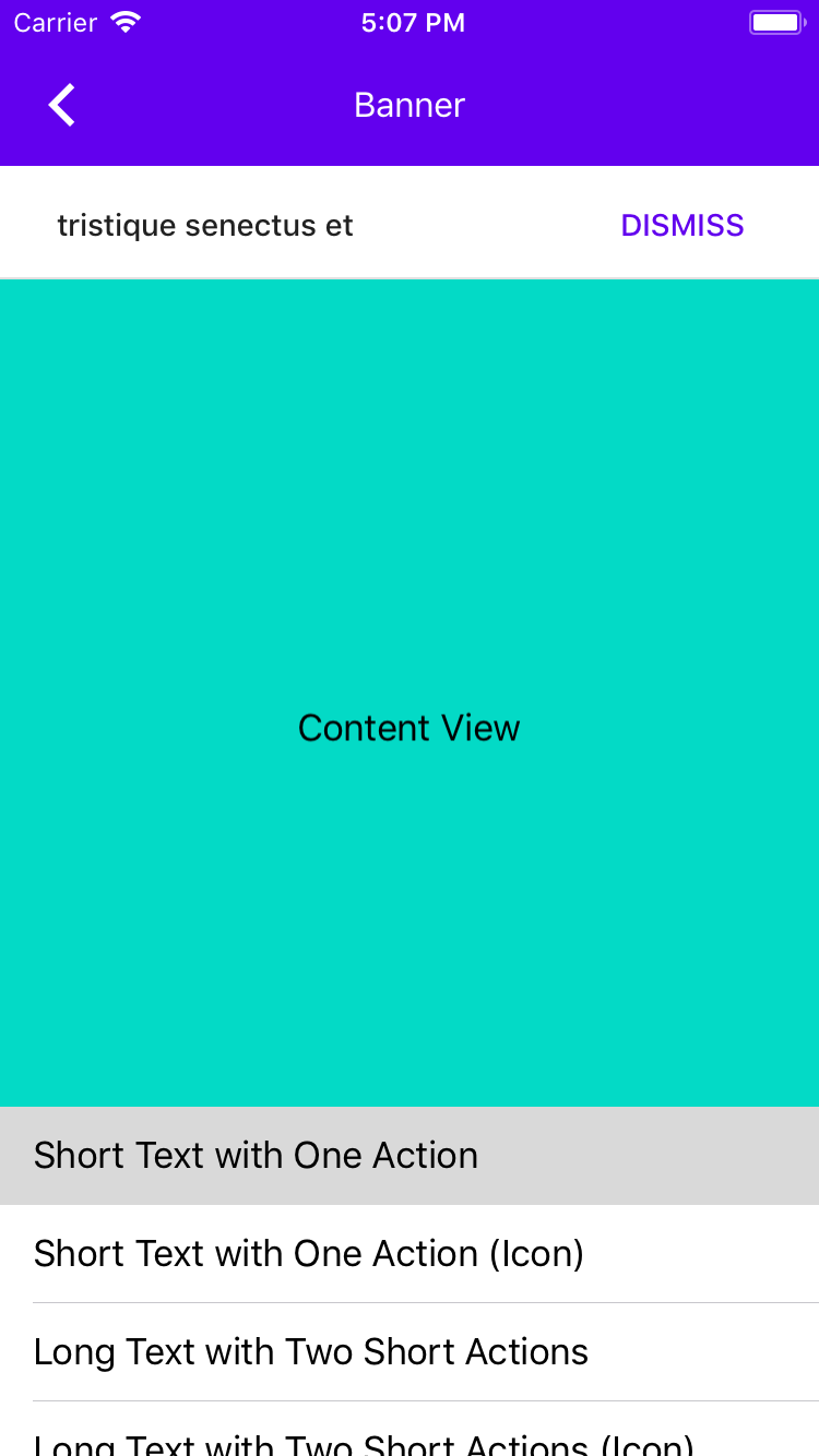 Simulator Screen Shot - iPhone 7 - 2019-06-11 at 17 07 13