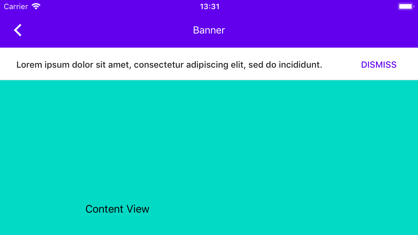 Simulator Screen Shot - iPhone 7 - 2019-06-19 at 13 31 36