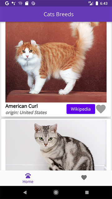 Cats Repository Api GitHub - nitrat1311/Cat-REST-Api-with-BLOCK · GitHub