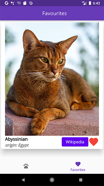 Cats Repository Api GitHub - nitrat1311/Cat-REST-Api-with-BLOCK · GitHub