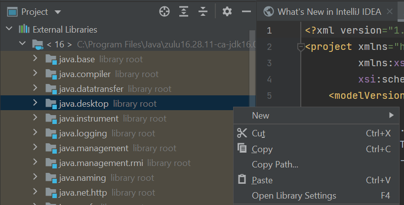 intellij