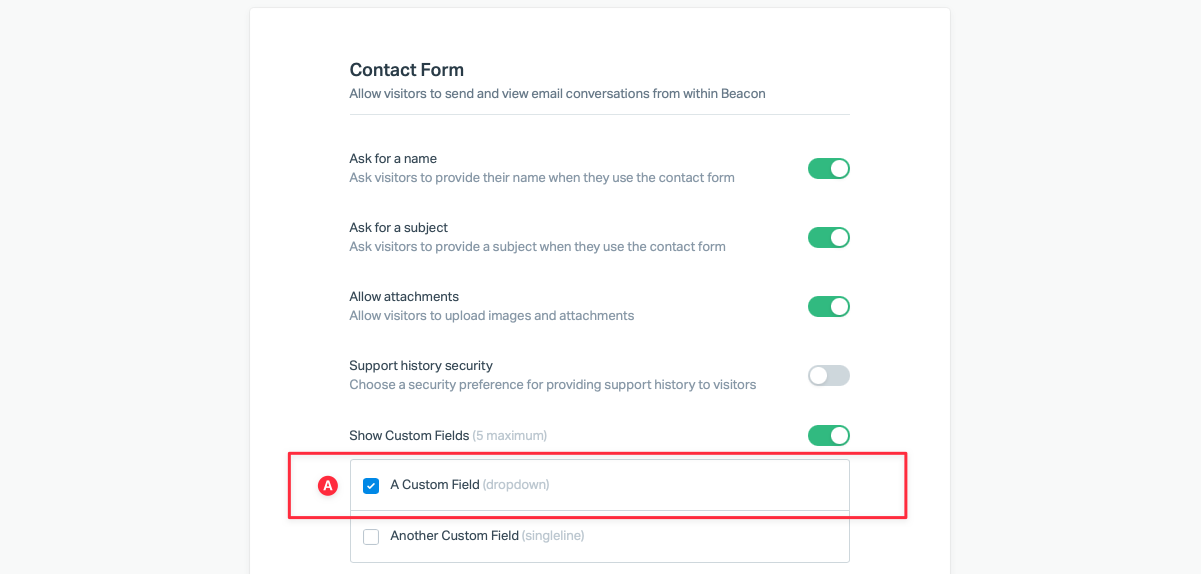 custom fields