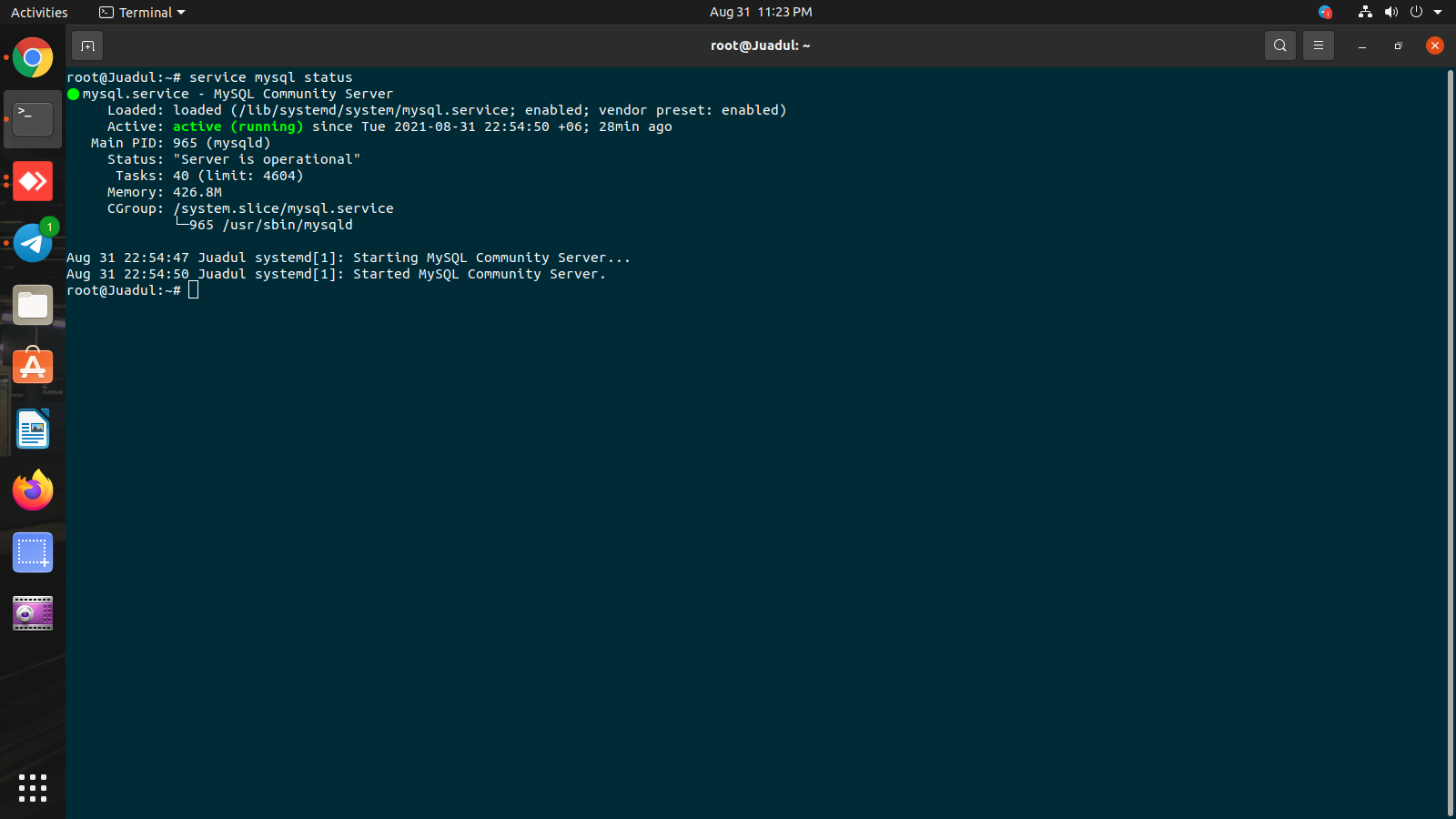 Screenshot from 2021-08-31 23-23-40