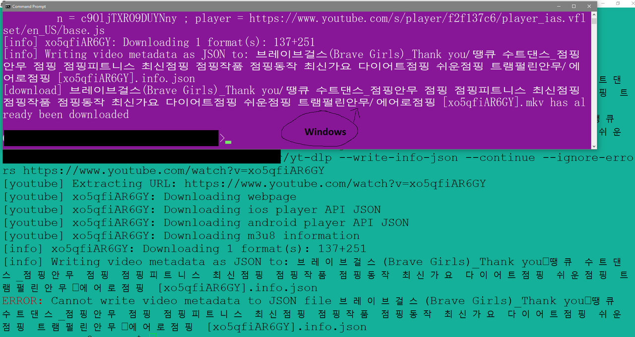 Unable to download one specific video json file on linux, How to ignore