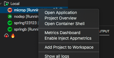 New Spring project is missing metrics capabilities · Issue #2891 ...