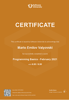 Programming Basics - February 2021 - Certificate