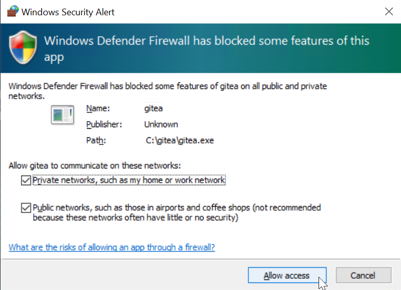 Windows Security Alert