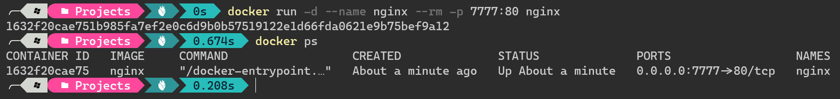 docker run -d --name nginx --rm -p 7777:80 nginx