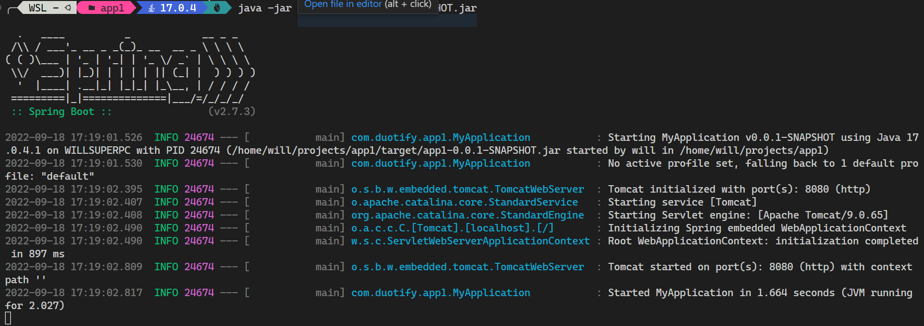 java -jar target/app1-0.0.1-SNAPSHOT.jar