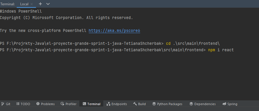 GitHub - SebastianRyndak/AccioVacaccio