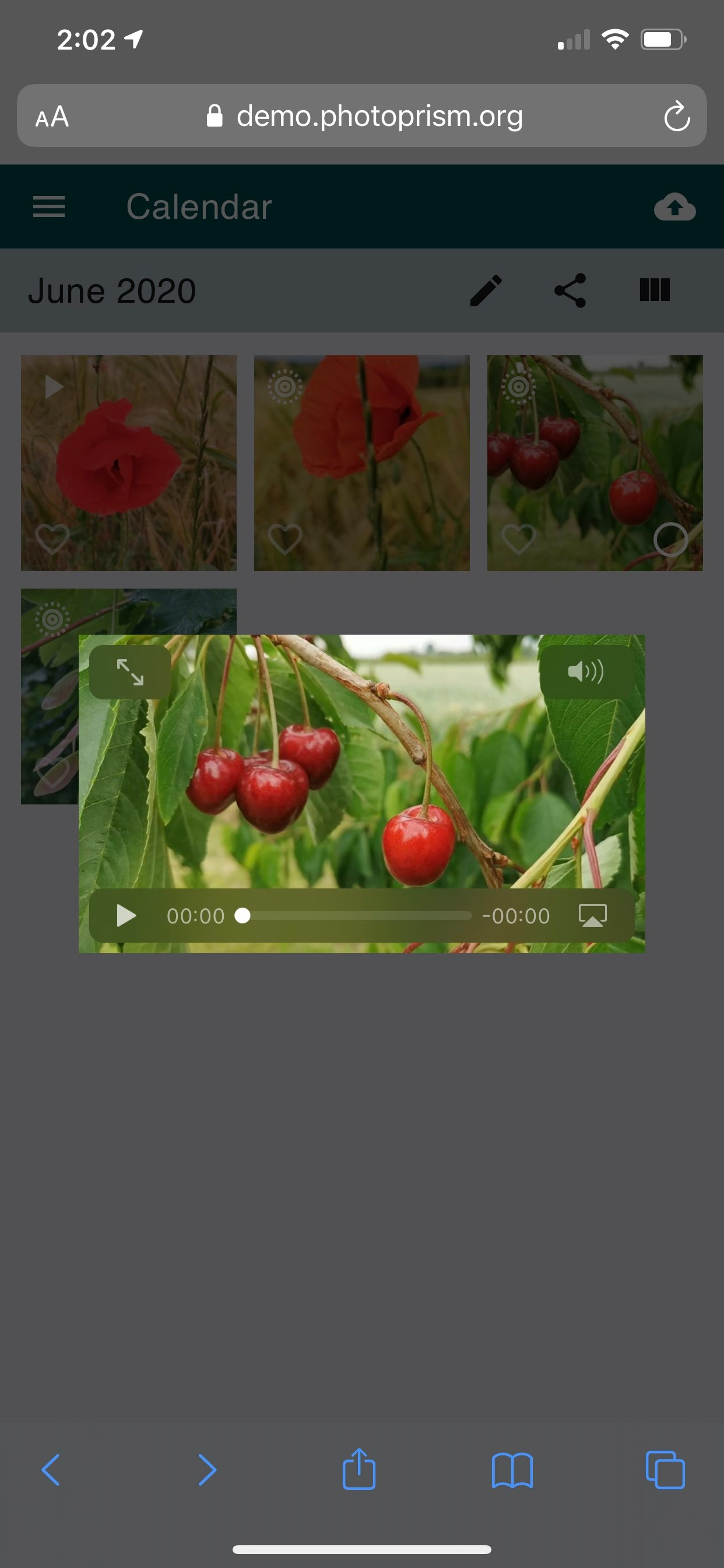 Demo Live Photos & Videos not playing with Safari · Issue 1648