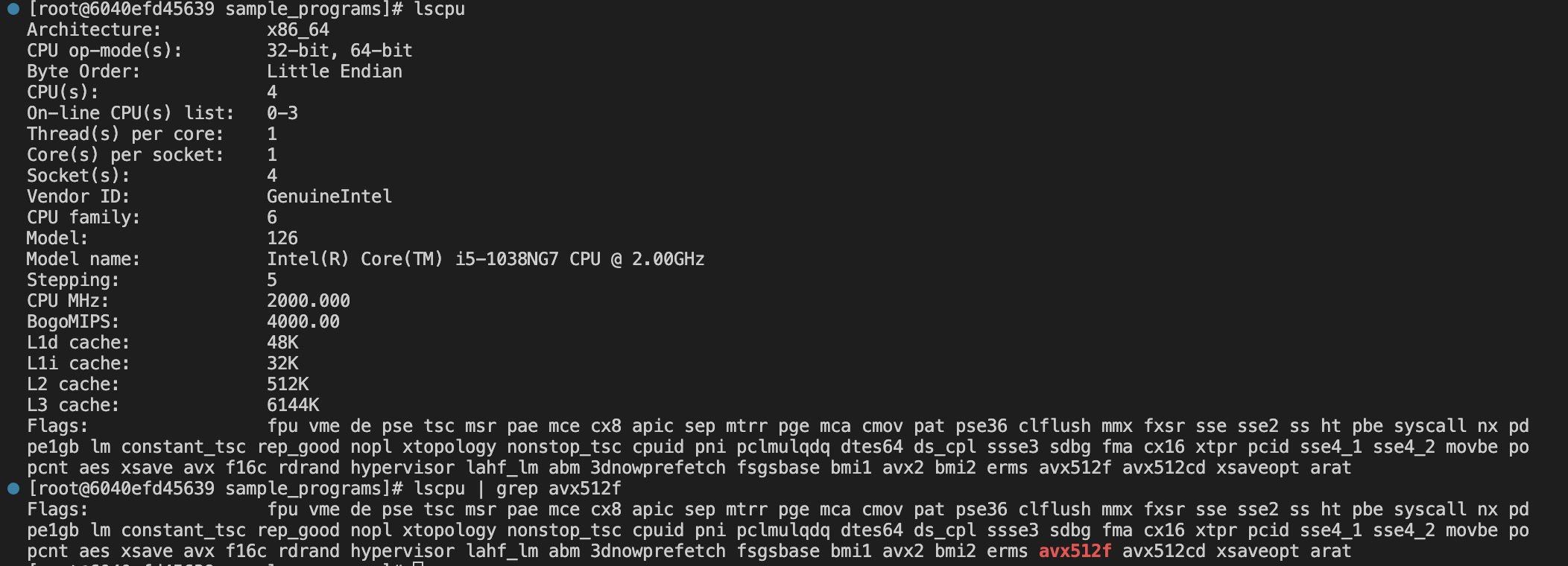 Problem After compilation and running, the program reports "Illegal instruction" · Issue 12