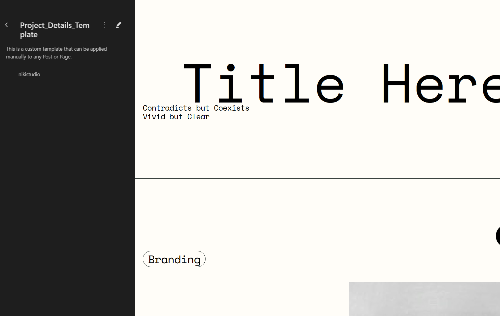 newbie-need-help-for-wordpress-portfolio-template-issue-please