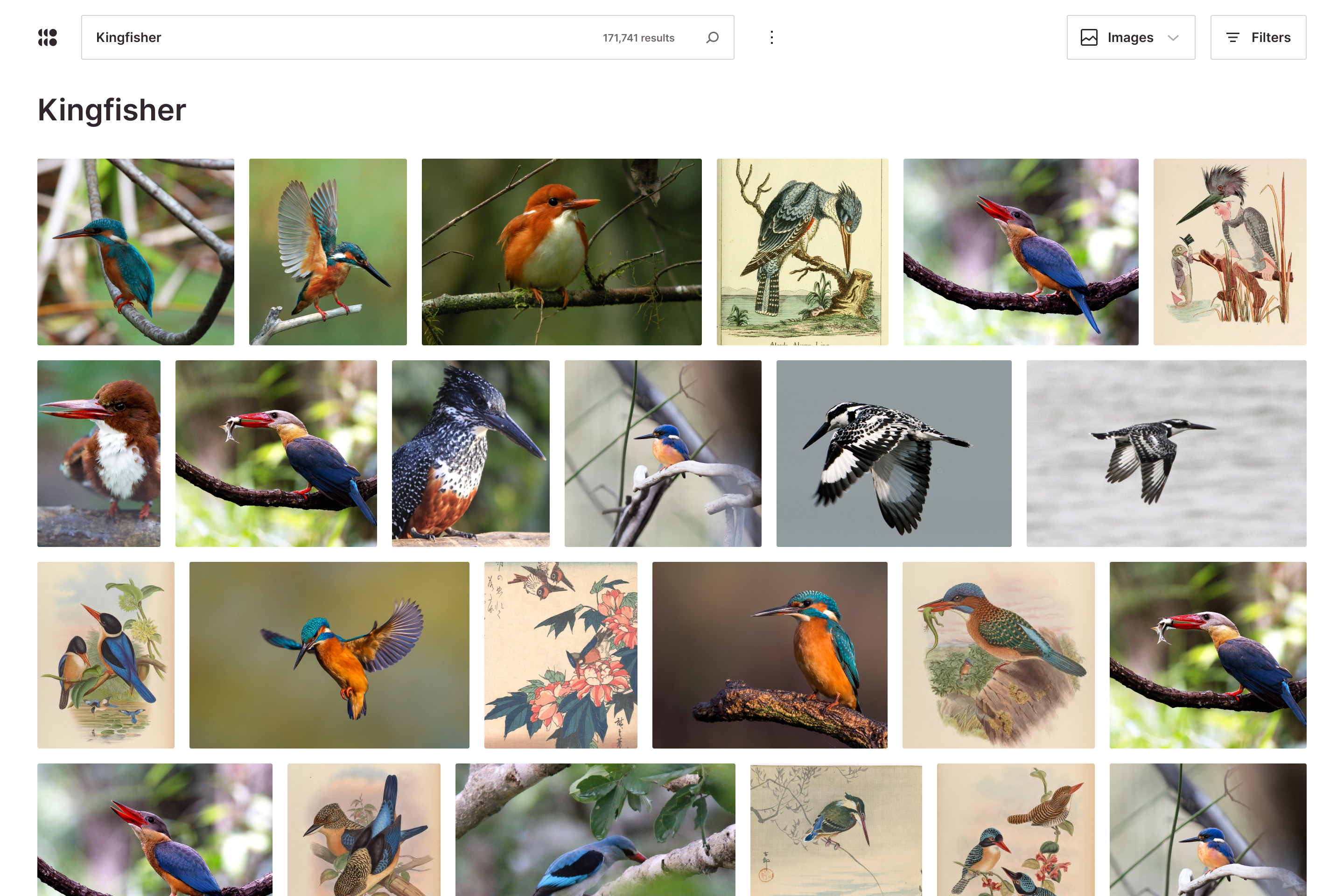 Image results (Macbook pro 13)