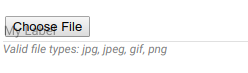 input-file-chrome