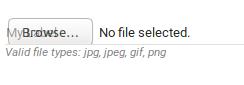 input-file-firefox