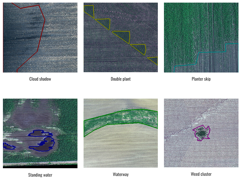 Farm Segmentation GitHub - canyuhankins/Agrculture_Image_Segmentation
