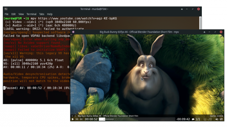 Riproduzione del video trasferito da yt-dlp a WPV su Windows