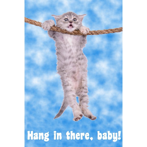 this is an image