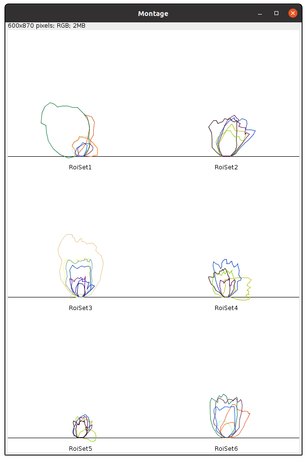Tulipe_Linear_RGB_LUT