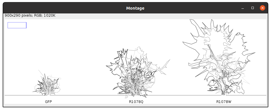 DefaultColor_3ROI_Screenshot from 2021-11-17 13-39-06