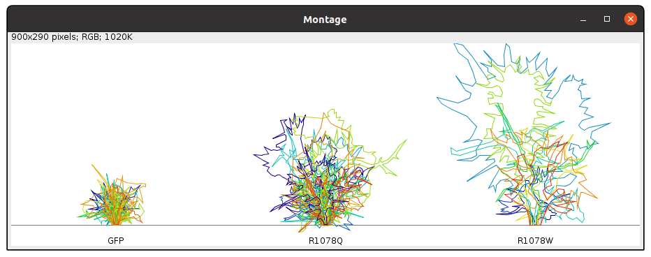 LinearMode_3ROI_Screenshot from 2021-11-17