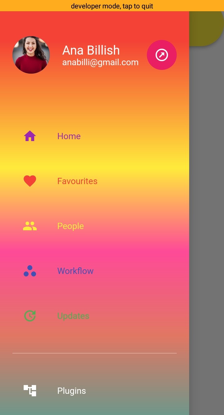 GitHub - Waliia/flutter-drawer