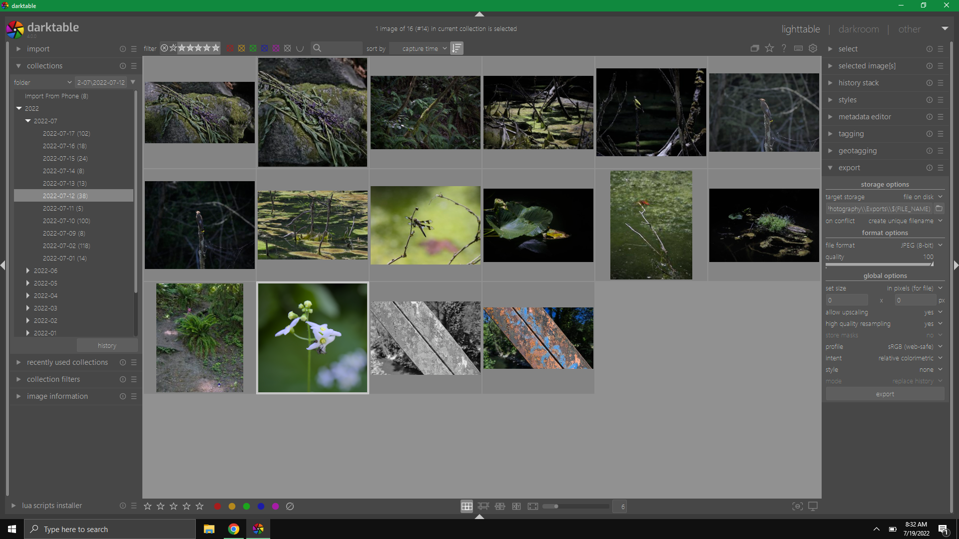 Image shifts to purple when Full screen in Lighttable view · Issue