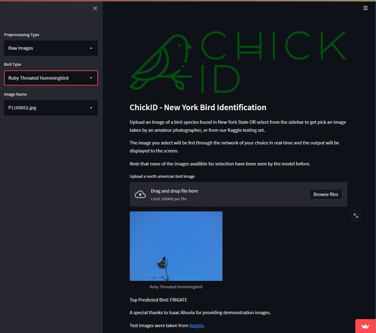 GitHub - Erdos-Team-DaVinci/bird-classifcation: Deploying bird ...