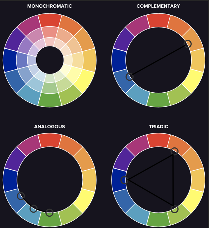GitHub - Dianabarr19/learn-color-theory