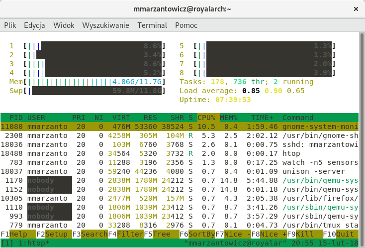 htop-01