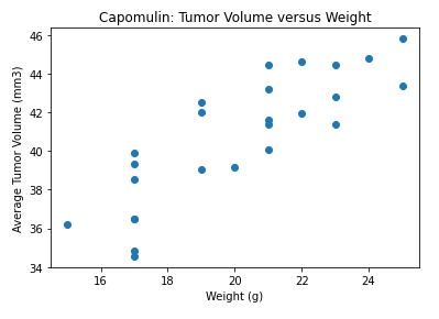 GitHub - angeleyazbec/Pymaceuticals-Python-Visualizaions: Analyzed ...