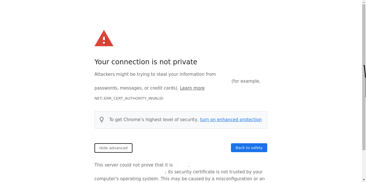 provide way to customize CLI options for chrome in docker container