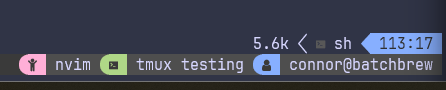 set -g @catppuccin_host "on" duplicating tmux line · Issue #42 ...