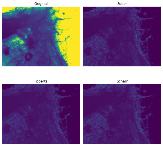GitHub - protist33/microscopy-image-preprocessing: The first part of ...