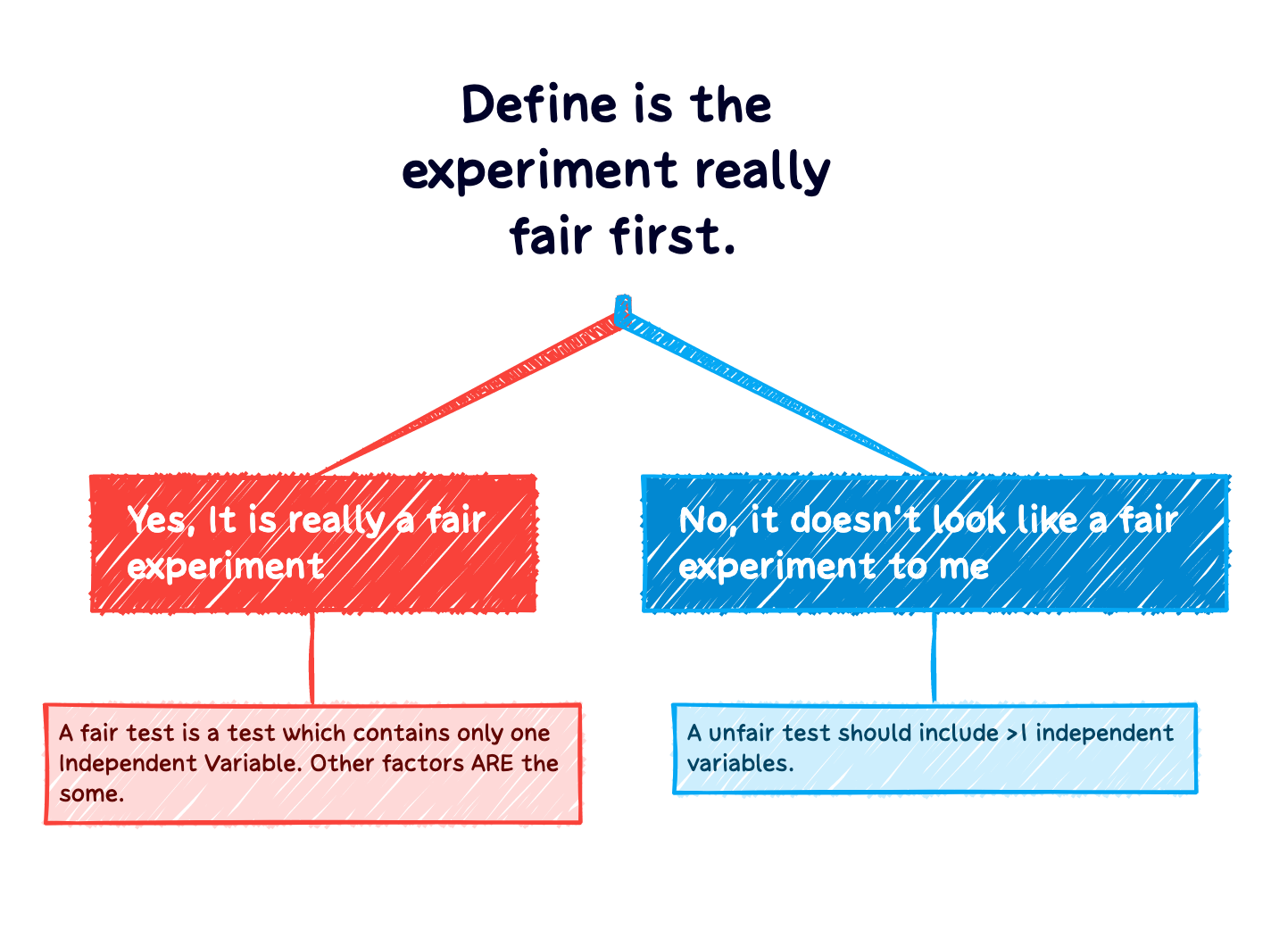 Define is the experiment really fair first