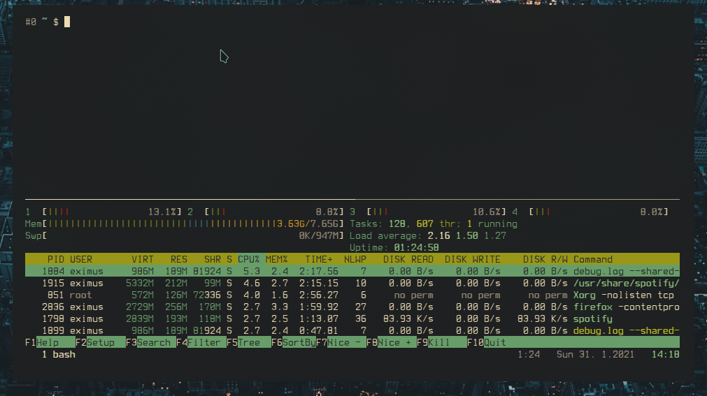 Peek 2021-01-31 13-58