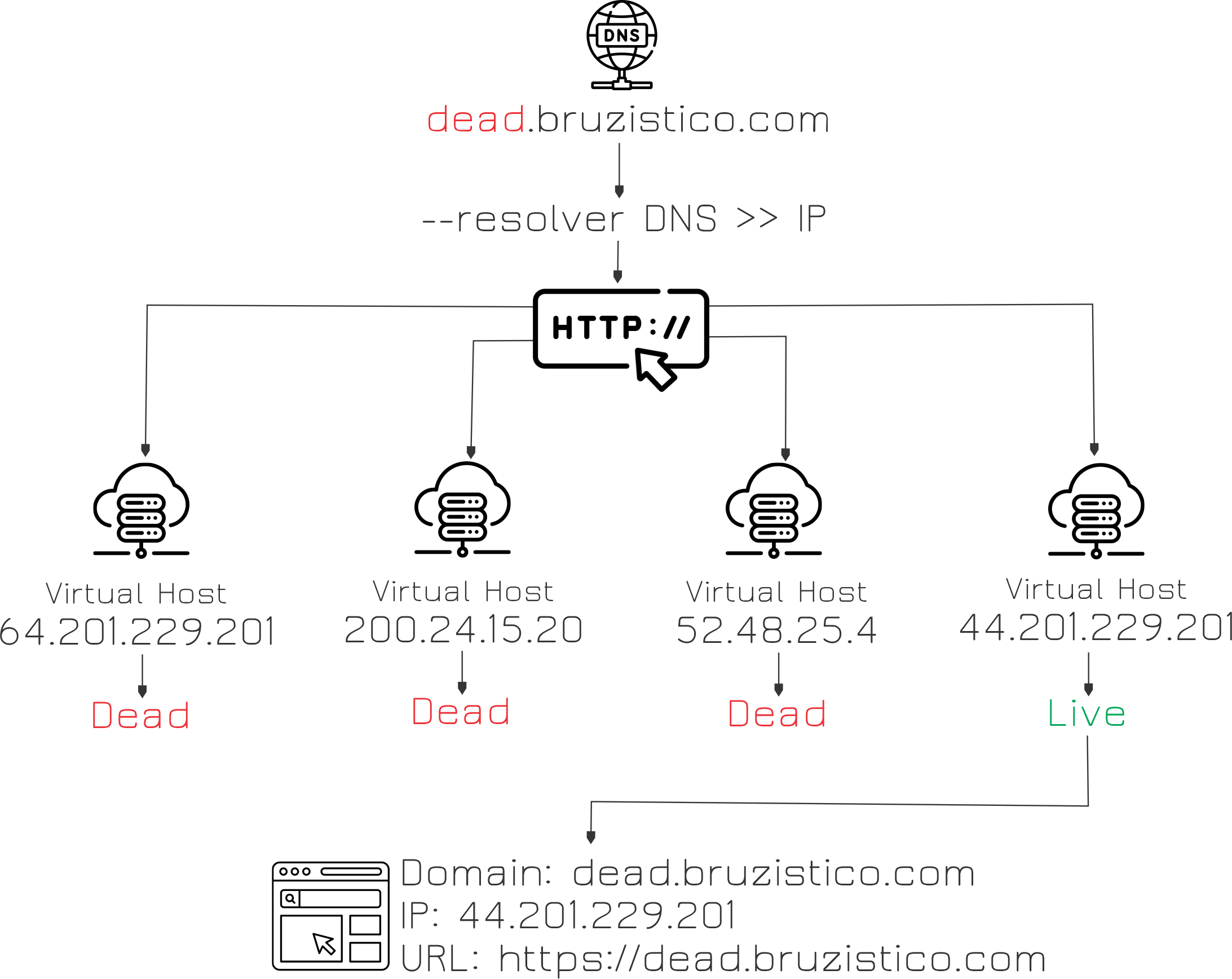 Github bruzistico mortomuitolouco tool to try to find ips of dead