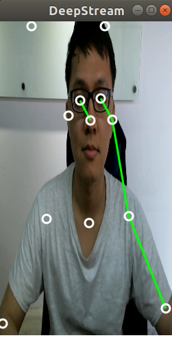 DeepStream using the model problem · Issue #158 · Daniil-Osokin ...