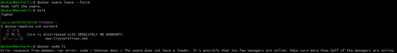 swarm disaster