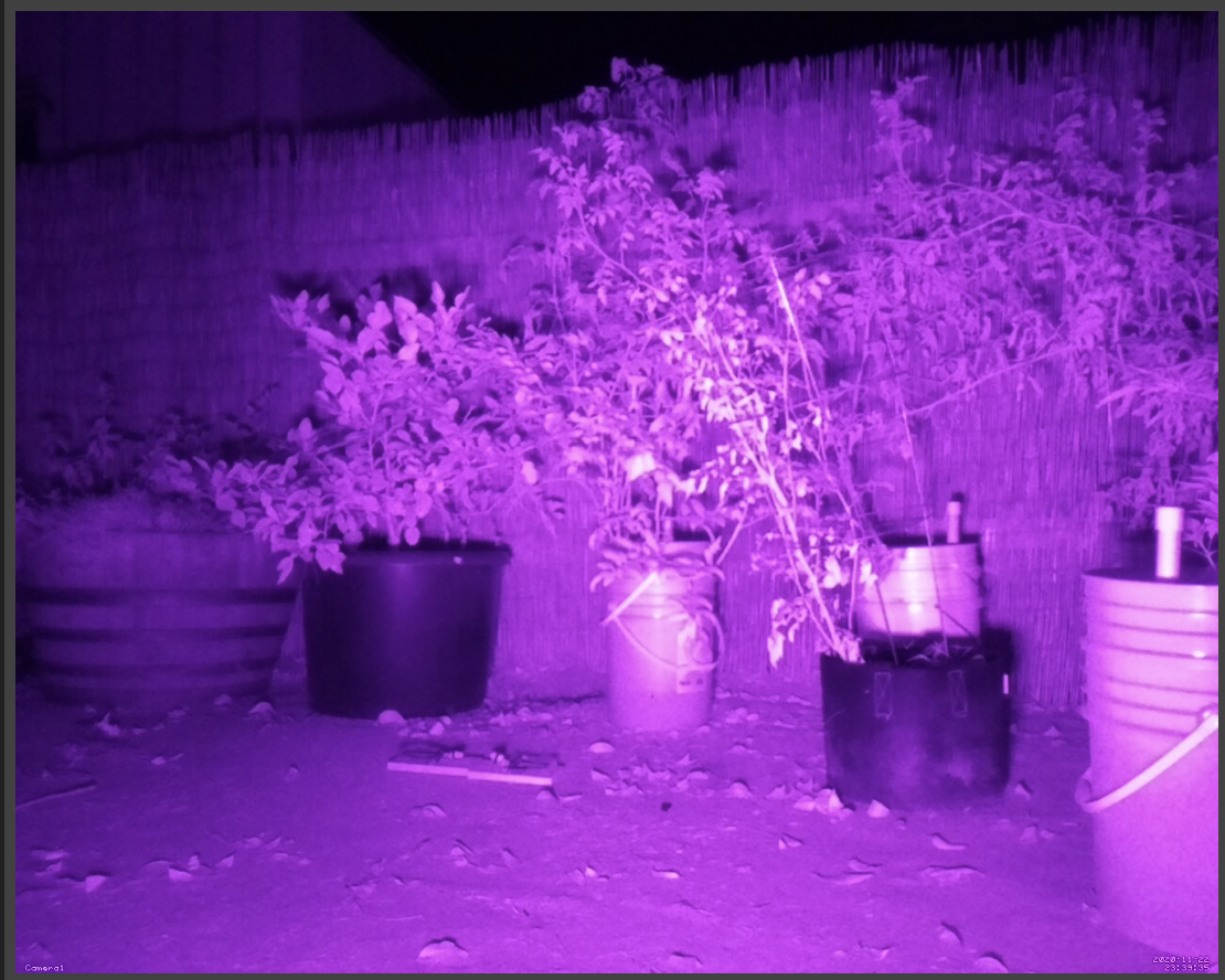Motion detection not working at night with Pi Noir v2 camera · Issue