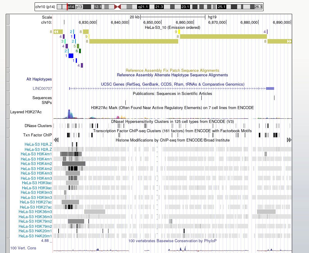 GitHub - daria-pon/hse_hw3_chromhmm