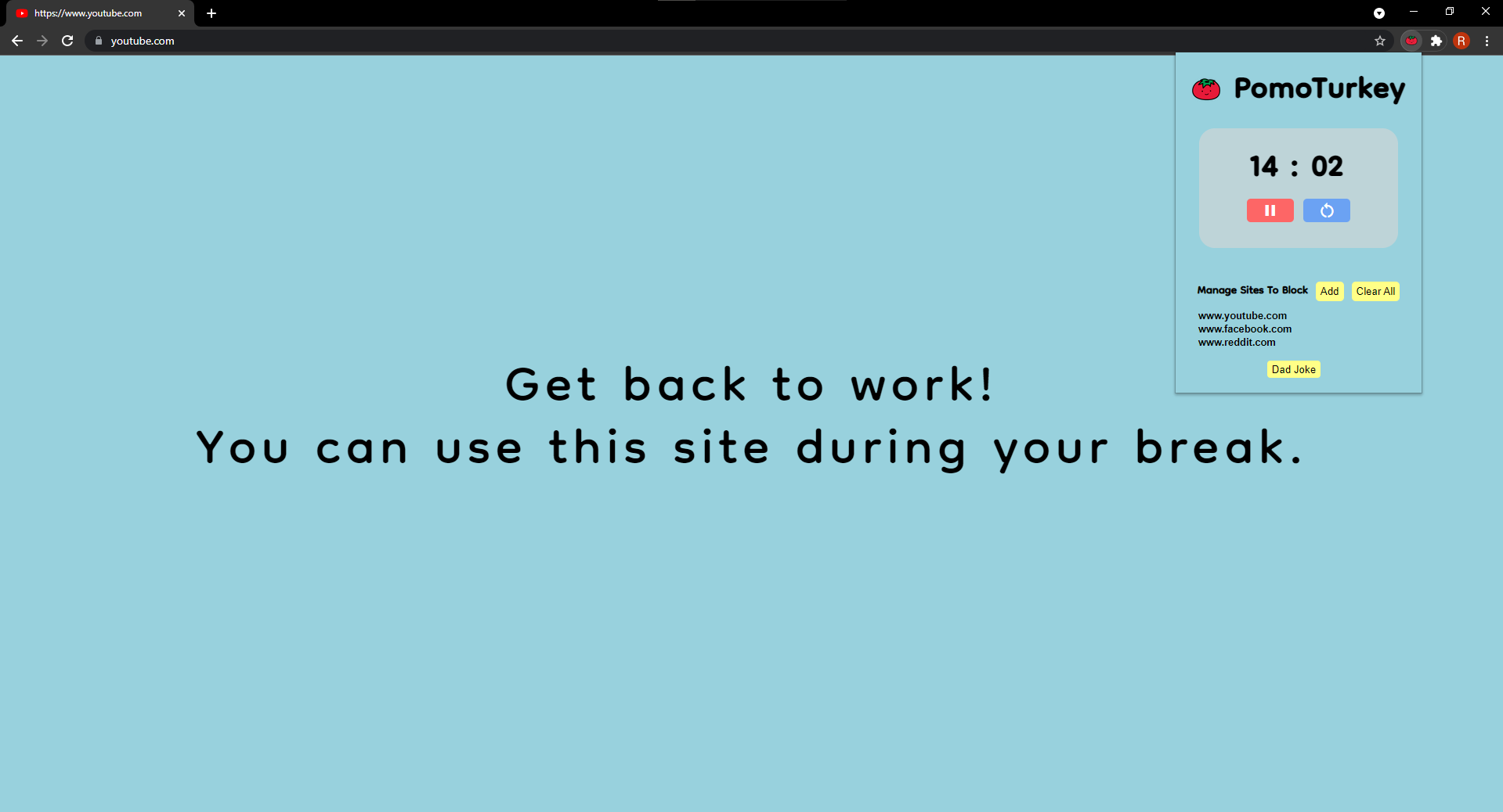 Website Blocker Screen