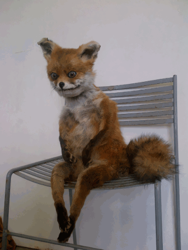 Dinamic function name bug · Issue #5668 · Scirra/Construct-bugs · GitHub